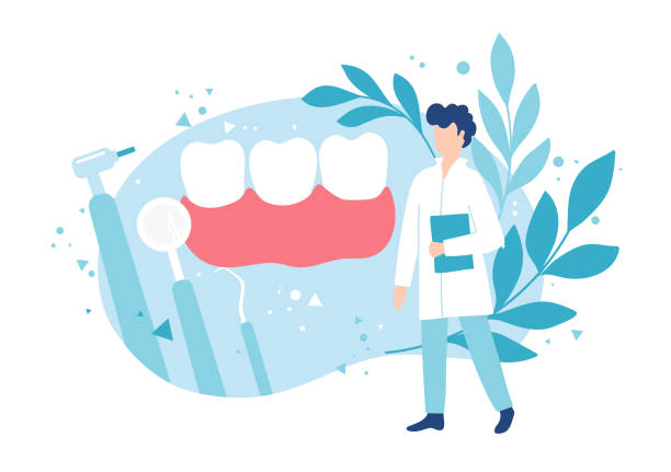 ilustraciones, imágenes clip art, dibujos animados e iconos de stock de odontología y dientes sanos. examen por un dentista. higiene y cuidado bucal. - dentist