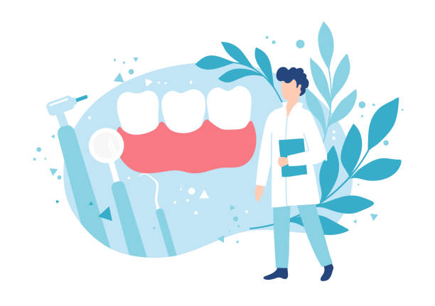 illustrations, cliparts, dessins animés et icônes de dentisterie et dents saines. examen par un dentiste. hygiène et soins buccodentaires. - dentist patient healthcare and medicine vector