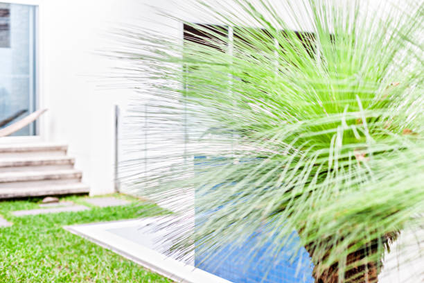 Modern garden with a tree, including thin and long leaves spread and bent, the color is green