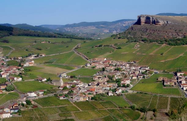 istock Wine-growing landscape with rocky escarpment 1209231287