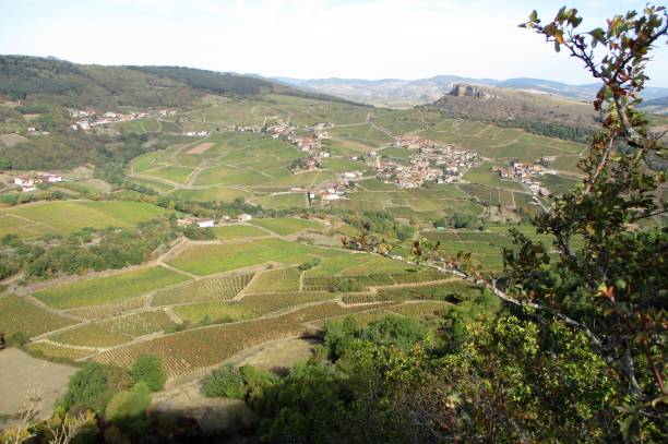 istock Country landscape in Burgundy 1209231721