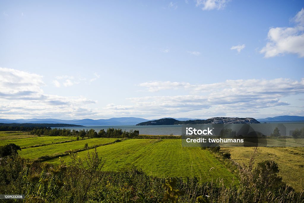 Três elementos - Royalty-free Agricultura Foto de stock