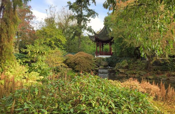istock waterfall in green wooded area with grass plants and trees 1209235454