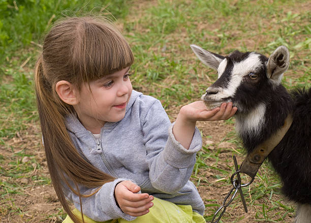 istock Girl with goat 120923692