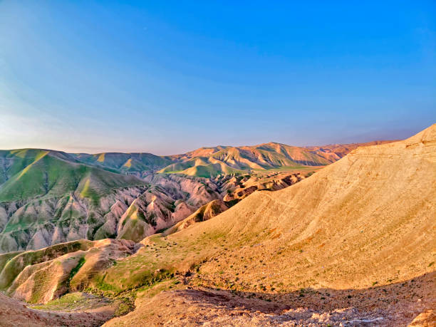 istock Spring in the Dead Sea. Israel. 1209237269