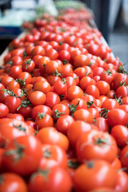 istock Fresh red organic tomato at open market 1209237282
