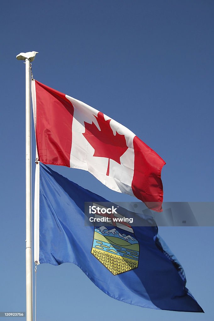 Canadiense y Alberta Flags - Foto de stock de Alberta libre de derechos