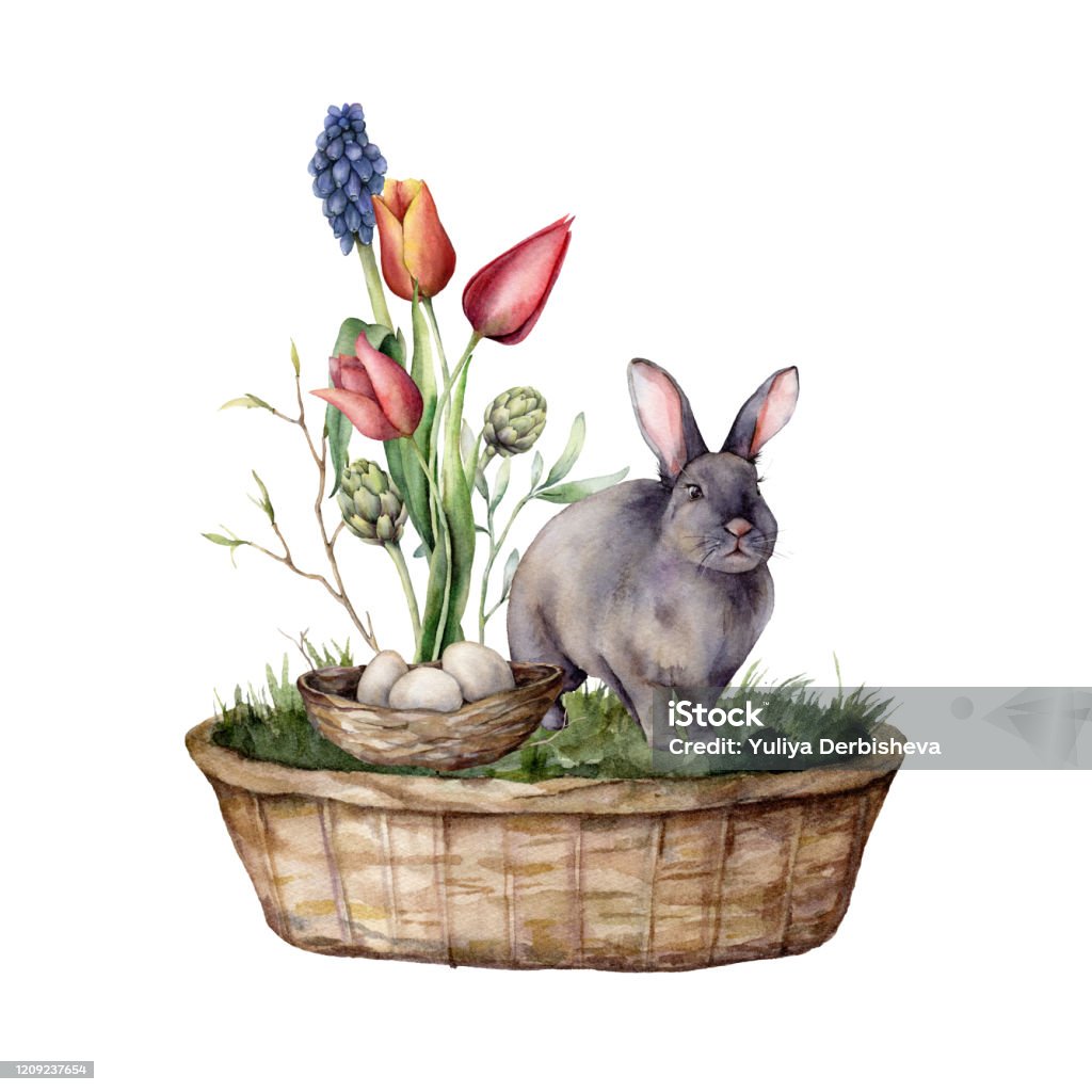 Thẻ Phục Sinh Màu Nước Với Một Con Thỏ Và Hoa Tulip Thỏ Vẽ Tay Giỏ ...