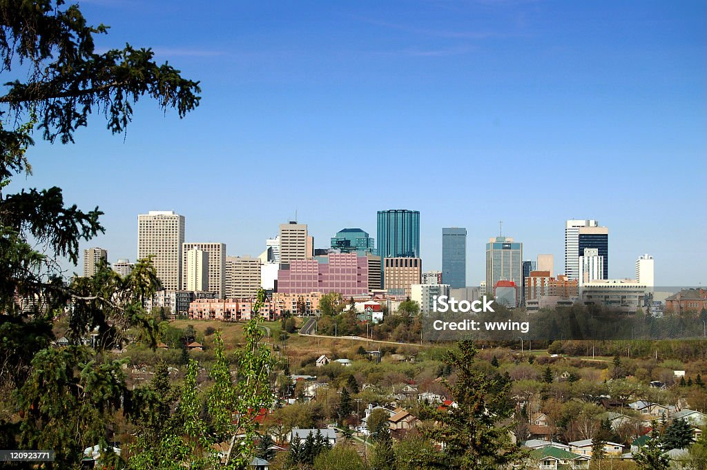 Edmonton Skyline - Zbiór zdjęć royalty-free (Alberta)