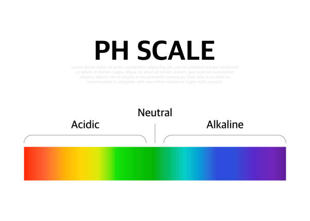 The Ph scale universal Indicator ph Color Chart diagram. Vector illustration with ph scale. The Ph scale universal Indicator ph Color Chart diagram. Vector illustration with ph scale acid rain stock illustrations