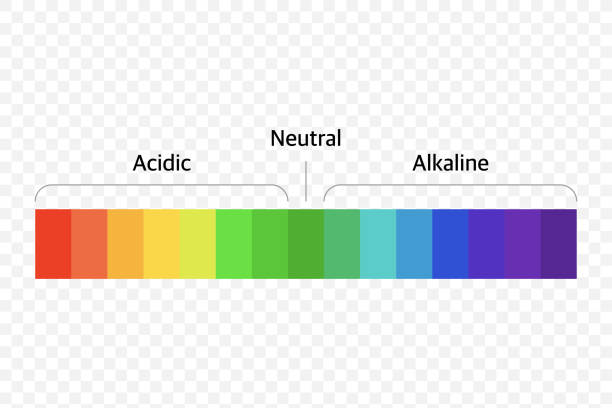 bildbanksillustrationer, clip art samt tecknat material och ikoner med det universella diagramdiagrammet för ph-skala. vektorillustration med ph-skala. - surt regn