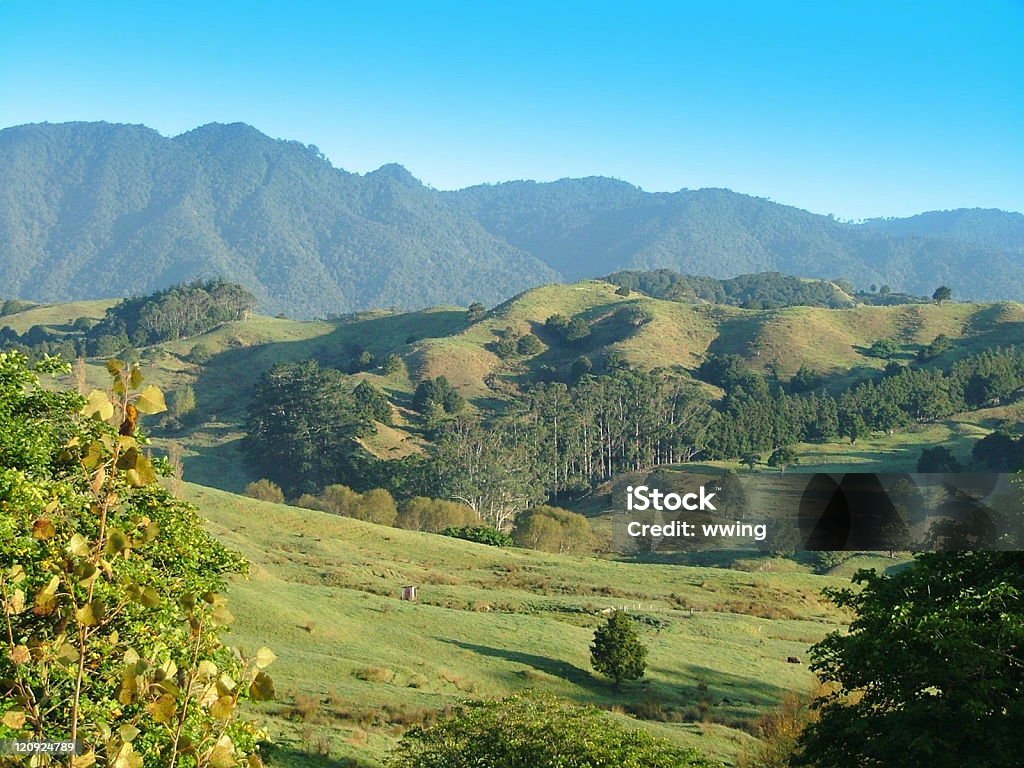 Nueva Zelanda vista panorámica de las montañas y valles - Foto de stock de Agricultura libre de derechos