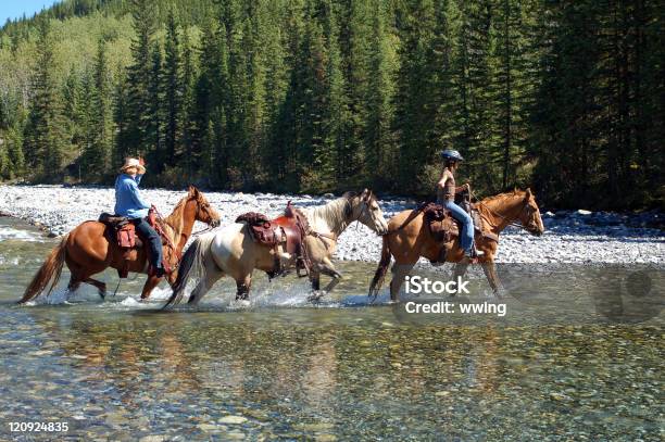 Rocky Mountain Horseback Riders Aptos À Travessia Rio Raso No Verão - Fotografias de stock e mais imagens de Cavalgar