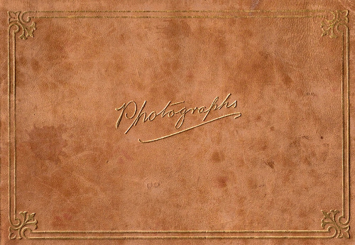 Vintage Full Size Brown Leather Photograph Album Cover embossed in gold
