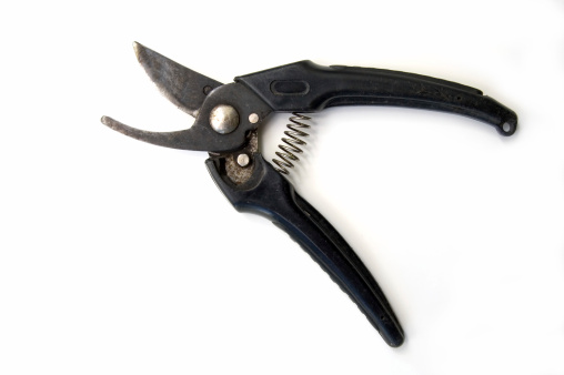 Old garden pruning tool on a white background with clipping path and copy space.