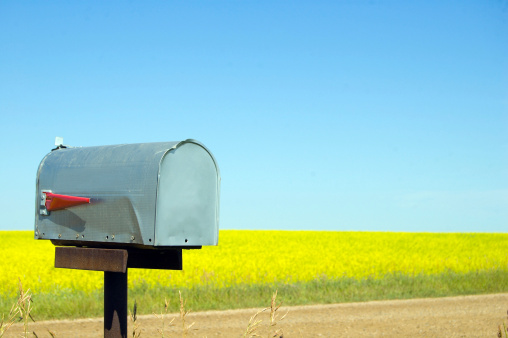 An old traditional mailbox stands in the street beside a canola field and copy space. The mailbox is metal with red detailing. The canola field is a bright green. The sky is perfectly clear and blue behind the mailbox. old country side.