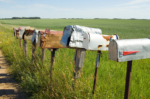 Seven roadside farmer's mailboxes ... some very weathered and worn. There is a grain crop growing in the distance.