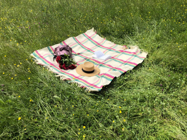 istock Picnic in the park concept. Checkered blanket with a straw hat, backpack with red flowers, open book on the green book. Copy space 1209249704