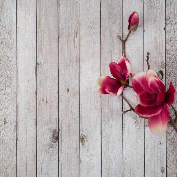 Beautiful spring petal on the wooden background stock photo