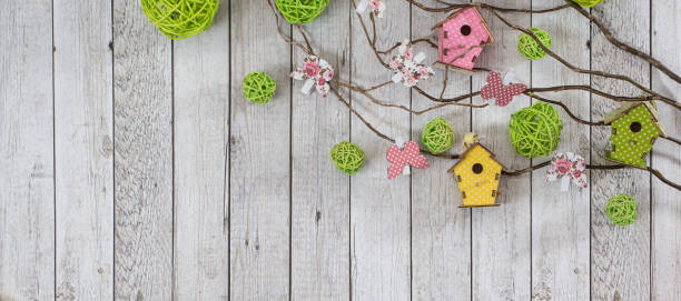Spring decorations on the wooden background. Some branches, butterflies and more stock photo