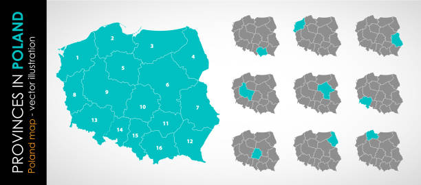 ilustrações de stock, clip art, desenhos animados e ícones de color vector map of poland with administrative divisions - malopolskie province