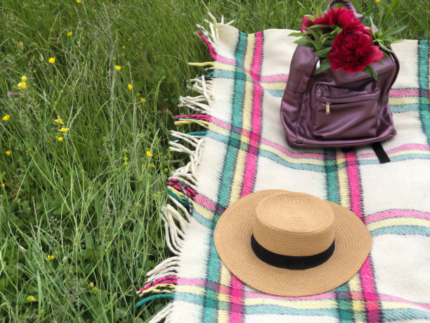 istock A backpack with red peonies inside and a straw hat on the checkered blanket. Picnic concept. Copy space 1209252602