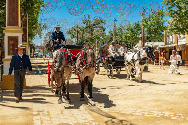 People and horses on the Horse Feria, Jerez de la Frontera, Andalusia, Spain, May 14, 2019 People and horses on the Horse Feria, Jerez de la Frontera, Andalusia, Spain, May 14, 2019 jerez de la frontera stock pictures, royalty-free photos & images