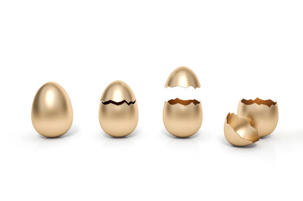 one is intact, the second is broken, the third and forth golden eggs are open on white background 3d rendering. 3d illustration luxury easter eggs holiday card template minimal concept. - wealth eggs animal egg easter egg imagens e fotografias de stock