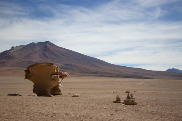 istock Siloli desert the stone tree in Bolivia 1209255827