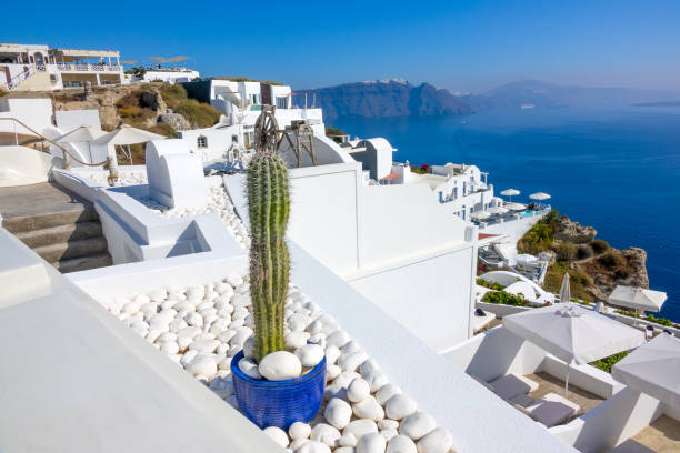 istock White Houses in Santorini and Decorative Cactus 1209256270