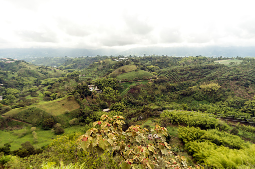 Natural Landscapes from Lookout of Armenia in Quindio ,Colombia.