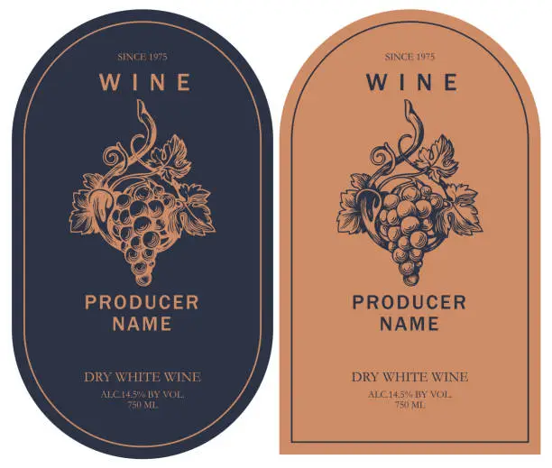 Vector illustration of two wine labels with hand-drawn bunch of grapes