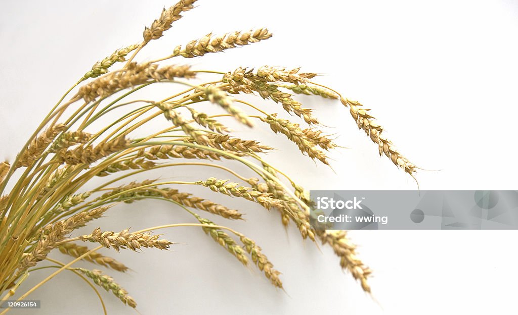 Пшеница на белом - Стоковые фото Без людей роялти-фри