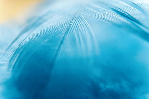 istock Blurred blue turquoise and warm yellow color feather. Art abstract trend texture background 1209264010