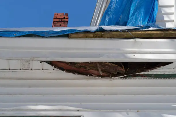 Photo of Underside of fascia on a house with wood and insulation dropping through