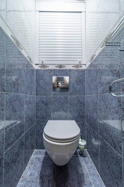 istock toilet room with white bowl blue tile 1209267425