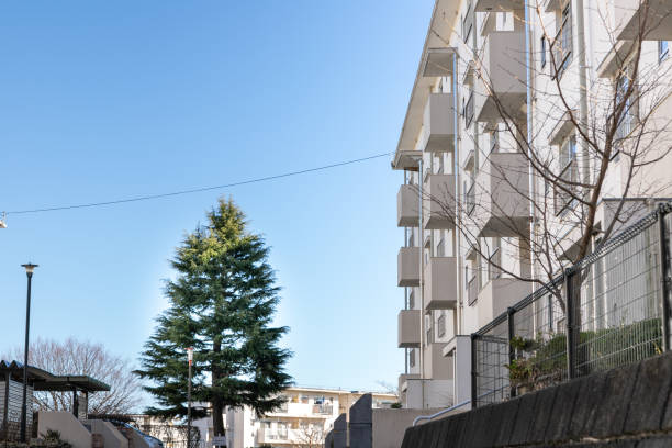 日野市の団地、日野市東京、東京 - apartment sky housing project building exterior ストックフォトと画像
