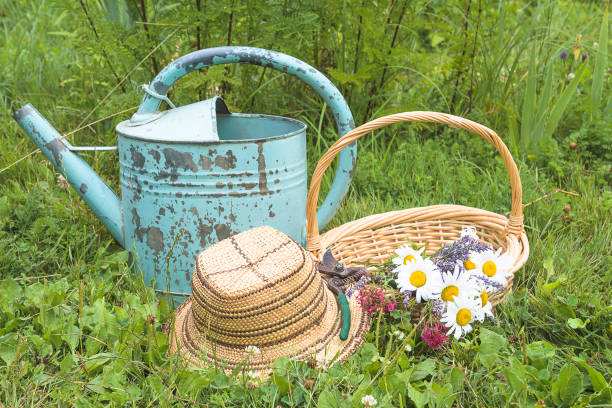 istock Summer gardening composition with wicker basket with summer wildflowers 1209269582