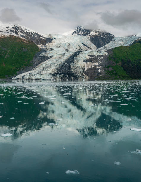 istock Cruising Around College Fjord 1209272675