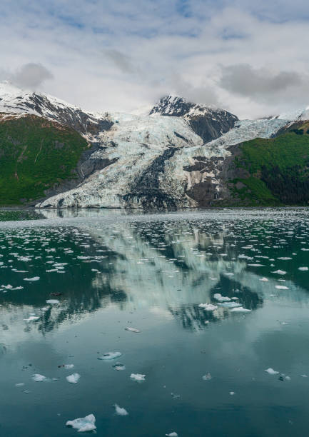 istock Cruising Around College Fjord 1209272690