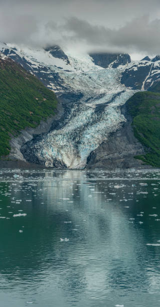 istock Cruising Around College Fjord 1209272691