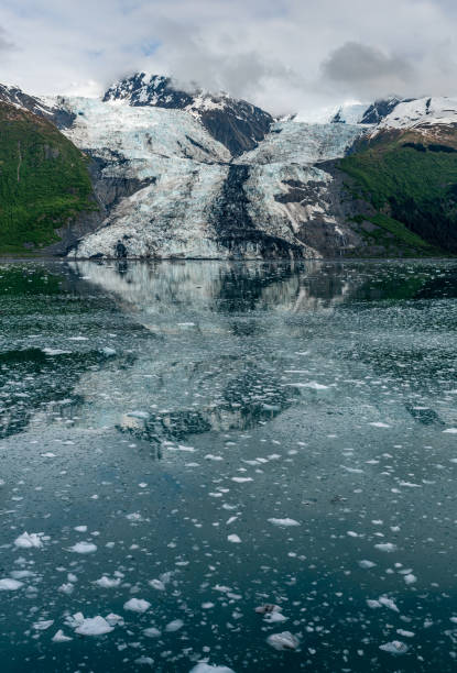istock Cruising Around College Fjord 1209272698