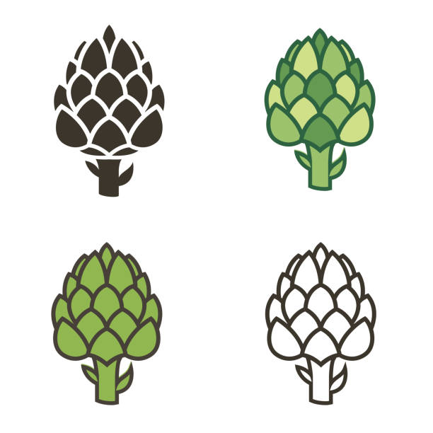 아티초크 야채 세트 - artichoke vegetable isolated food stock illustrations