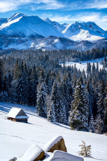 istock Holidays in Poland - Tatra Mountains in winter 1209272824