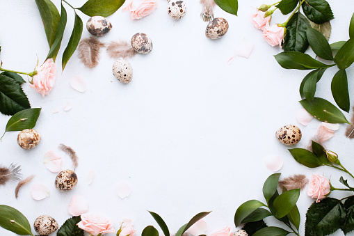 Easter concept. Easter of circle frame for your banner with feathers, branches and buds rose and quail eggs on white background with place for text. Top view. Flat lay. Postcard for Spring Holidays