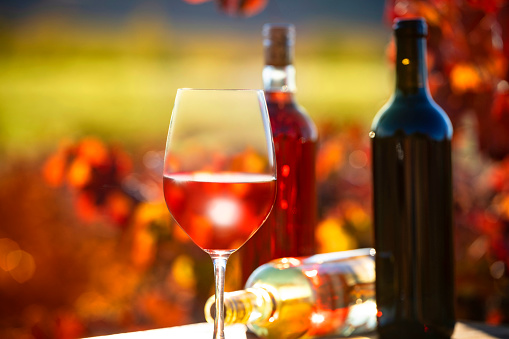 Vineyard wineglass and wine bottles at sunset in Mediterranean red wine vine field