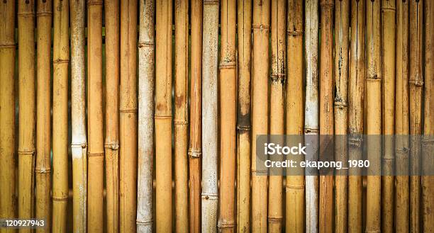 Foto de Textura De Bambu e mais fotos de stock de Abstrato - Abstrato, Bronzeado, Broto de Bambu