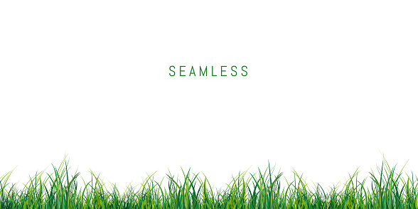 Vector bright green realistic seamless grass border isolated on transparent background