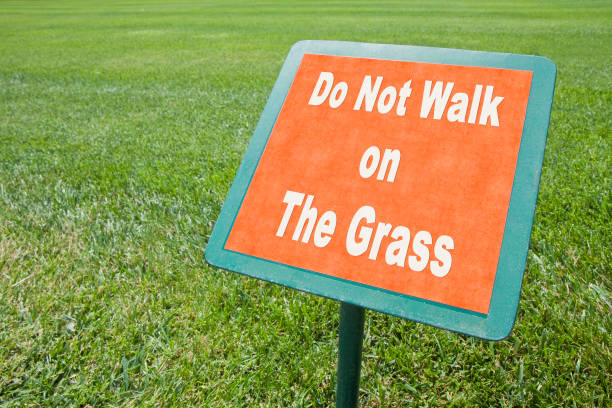 não ande na grama - texto branco de imagem conceito na placa de sinalização e gramado verde fresco - dont walk signal - fotografias e filmes do acervo