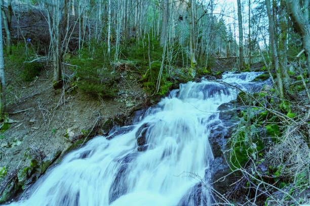 A steep forest stream that turns into a small waterfall in Norway